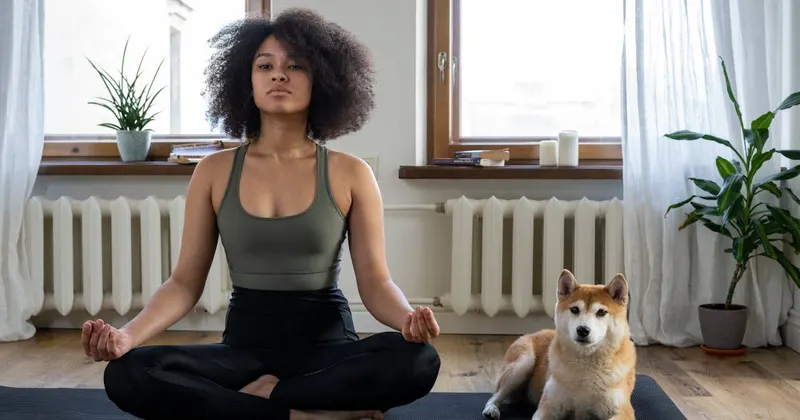 Clean yoga studio with sanitized mats and open floor