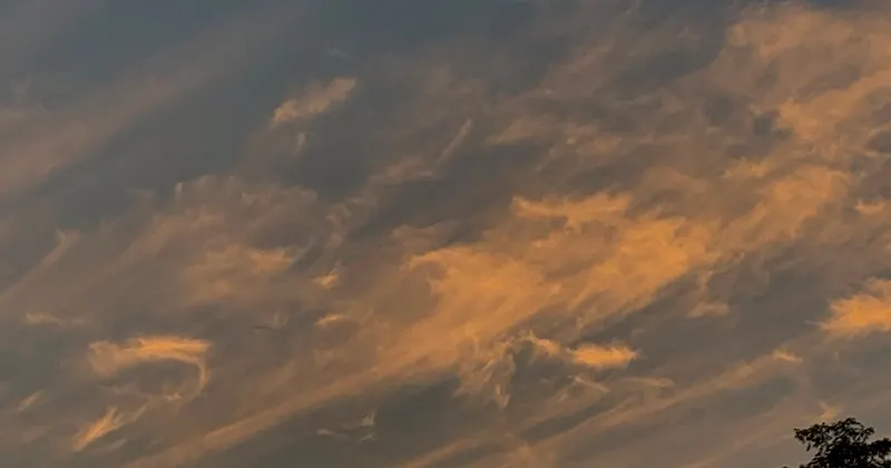 Person following a sustainable cleaning routine at home