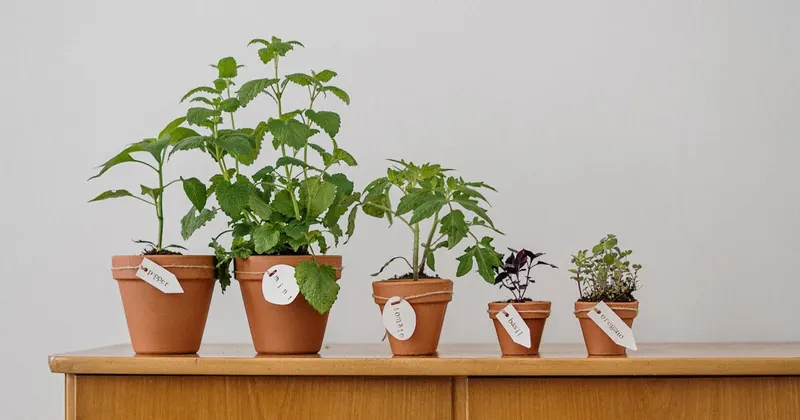 Modern eco-friendly cleaning tools and reusable supplies