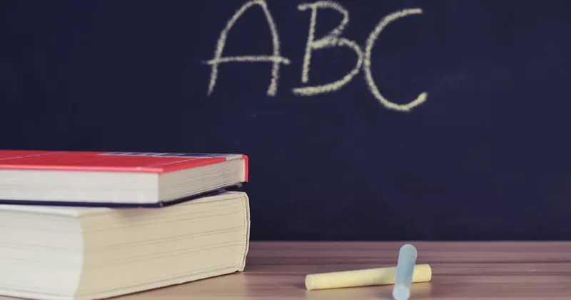 Chalk sticks on a surface beside books for stain removal tips