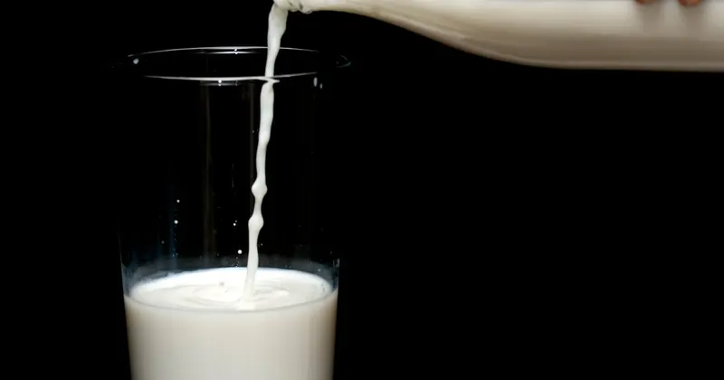 Salt crystals in a bowl used for cleaning