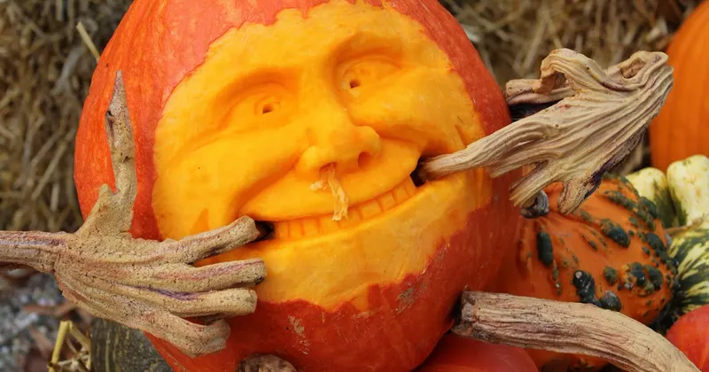 Halloween pumpkin decorations ready for party cleanup