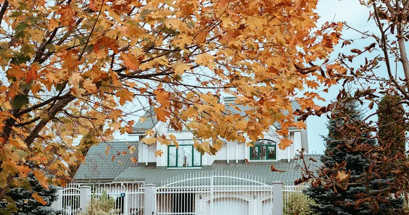 Colorful autumn leaves surrounding a home during fall transition