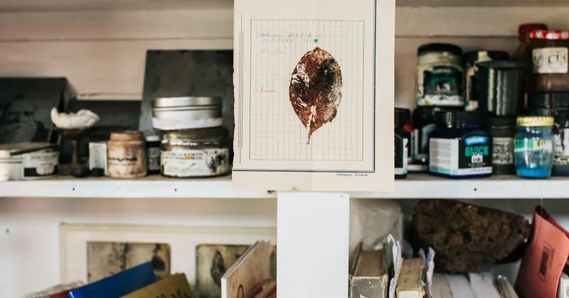 Shelves styled with books and decorative objects in home interior