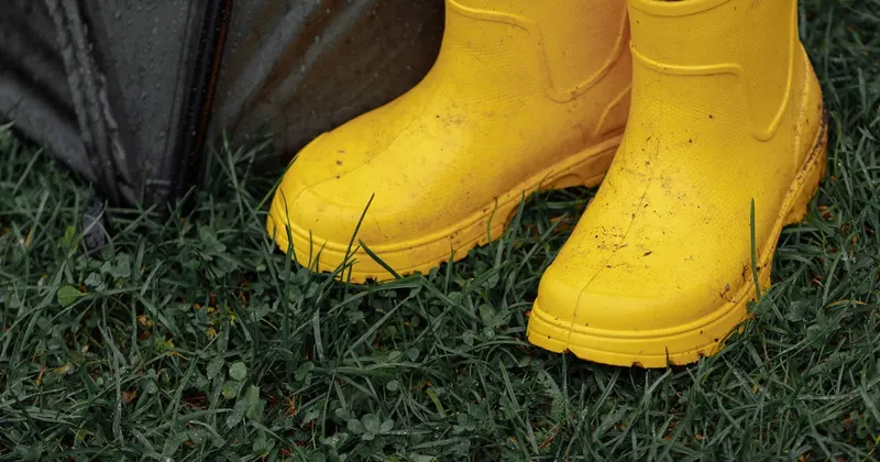 Yellow rain boots on wet grass during rainy weather