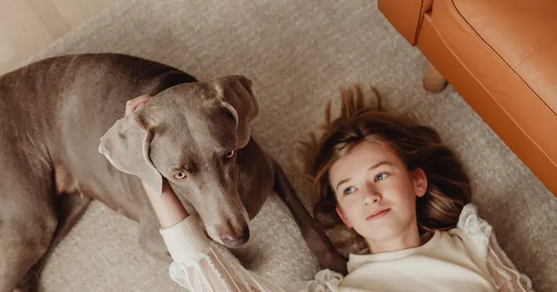 Girl and a brown dog lying down on a beige carpet