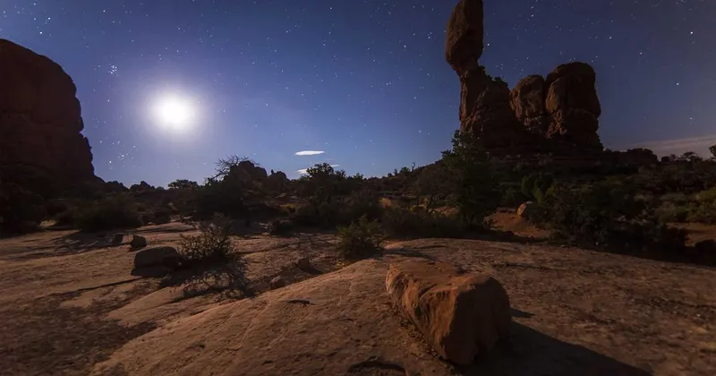 Close-up of person cleaning shelves with a feather duster