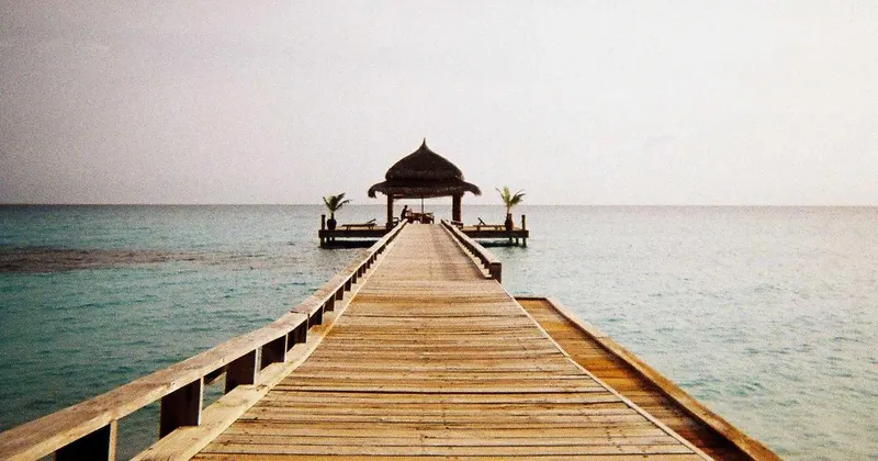 Person sorting and cleaning household trash and recycling bins