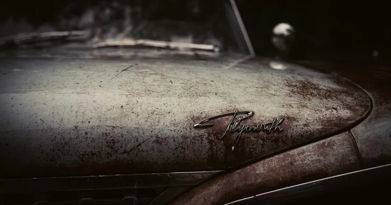 Gray fabric sofa in a clean modern living room interior