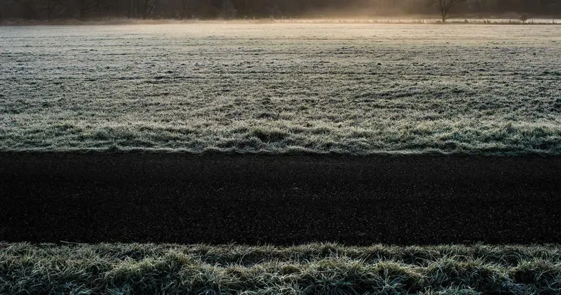 Person in rubber gloves cleaning bathroom tiles with a sponge