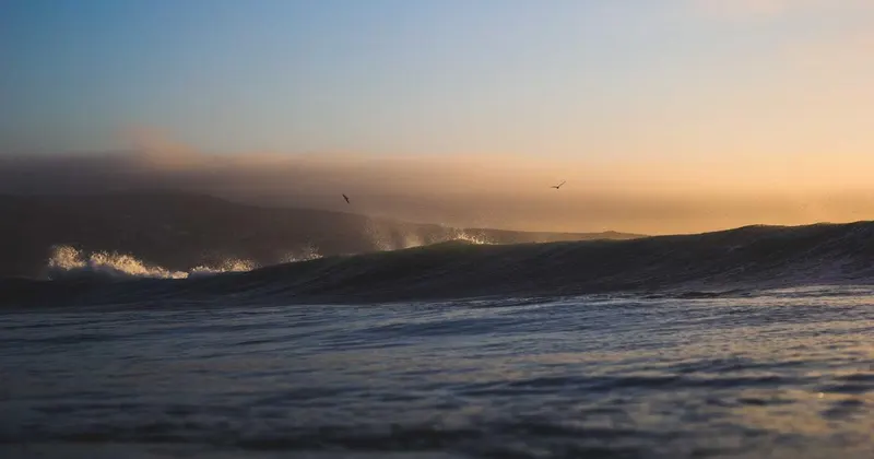 Essential oil bottles with lavender and natural herbs