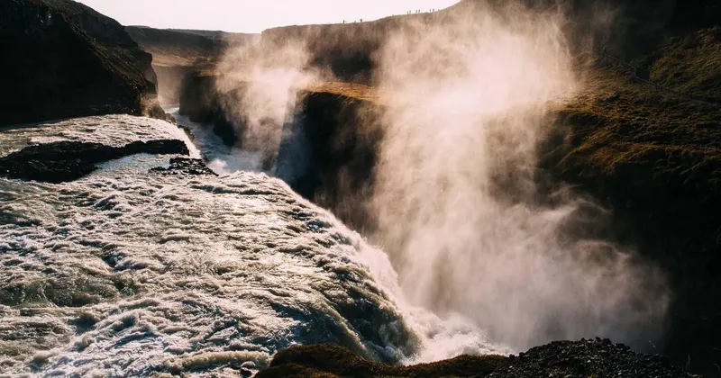 Organized cleaning supplies ready for use