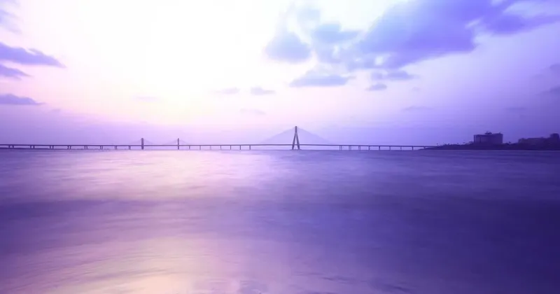 Couple packing belongings into moving boxes for Texas relocation