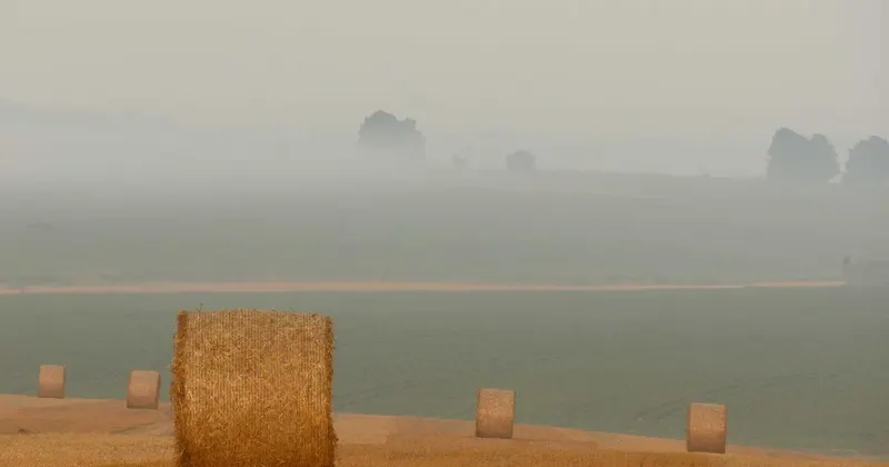 Person using spray cleaner and cloth to clean wall surfaces