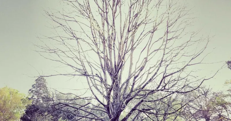 Commercial restaurant kitchen with stainless steel equipment