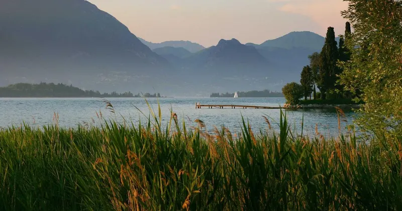 Clean retail store interior with organized product displays