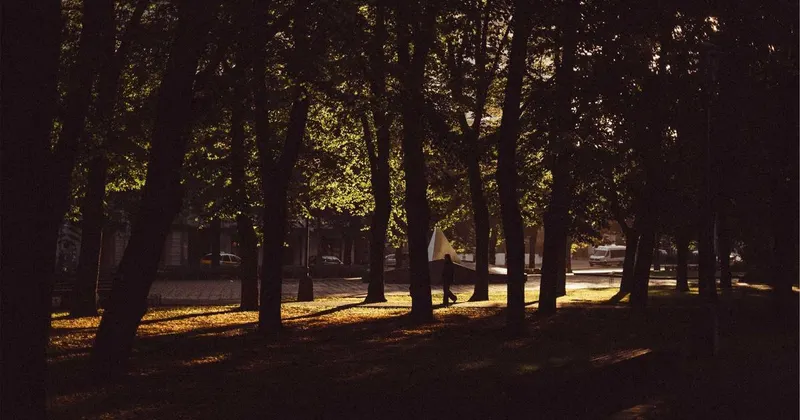 Modern bathroom interior with clean porcelain sink and fixtures