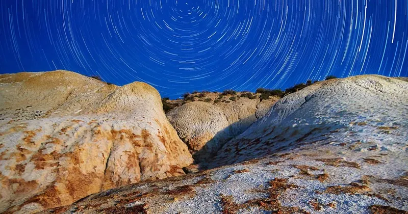 Plastic storage containers and bags for organizing cleaning supplies